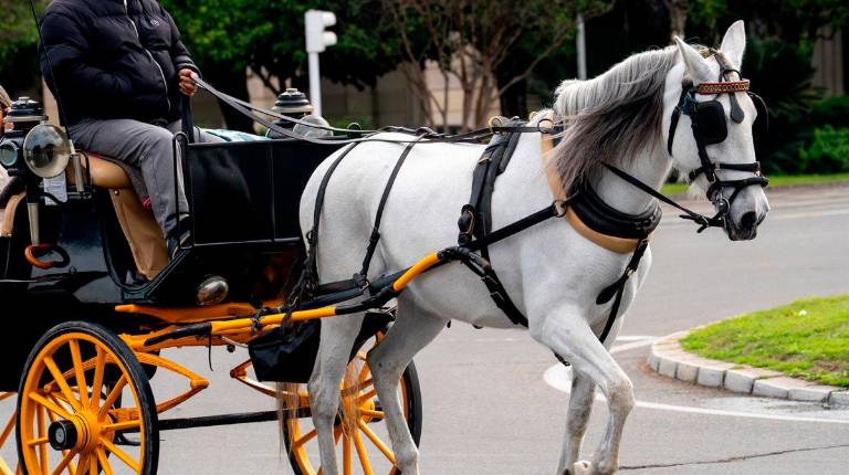 <i>Imagen de archivo de un coche de caballos. / Eduardo Briones / Europa Press. </i>