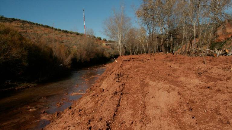 Multa al Ayuntamiento de La Puerta de Segura por tala de vegetación