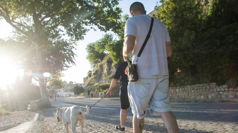 Día con 16 nuevos casos y sin muertes