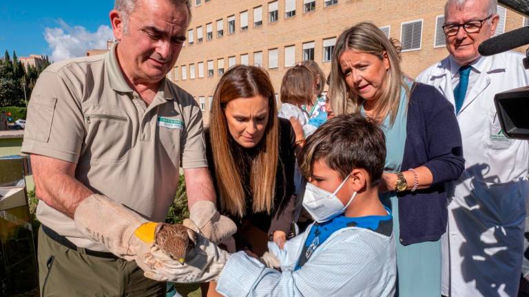 La mejores manos de Jaén para poner aves en libertad
