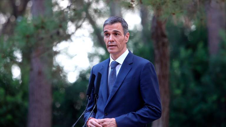 Sánchez se personará como acusación en la causa por la lona de Hazte Oír