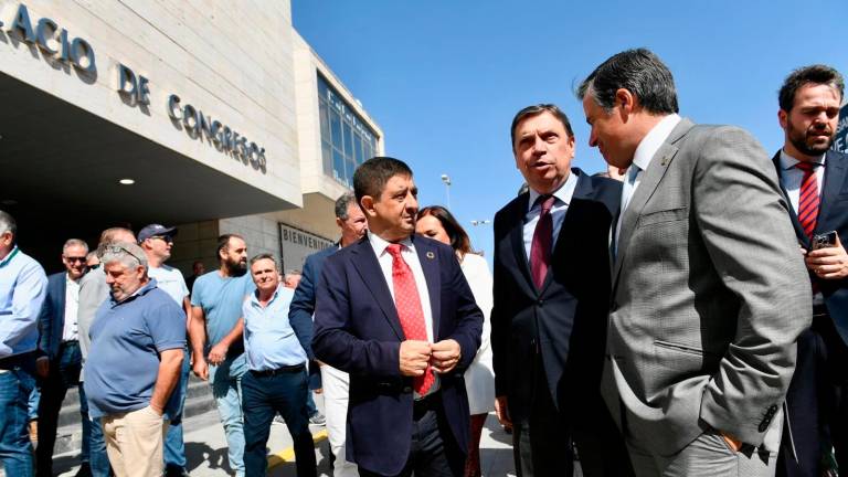 Expoliva se consolida como feria internacional