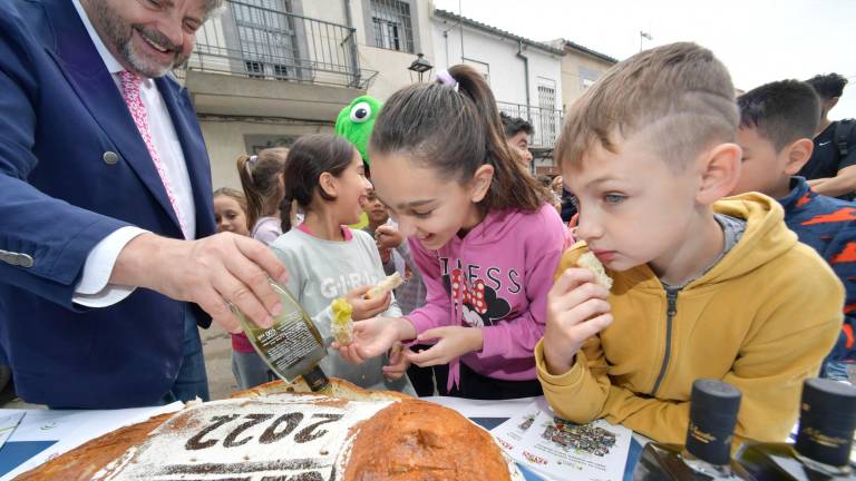 A paladar muy joven el mejor aceite de oliva con pan tradicional