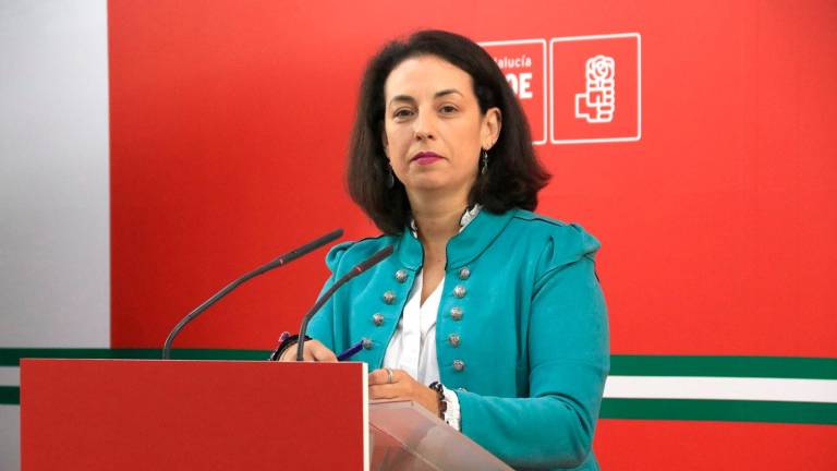 El PSOE afea al PP la aprobación de los presupuestos “de la vergüenza” para Jaén