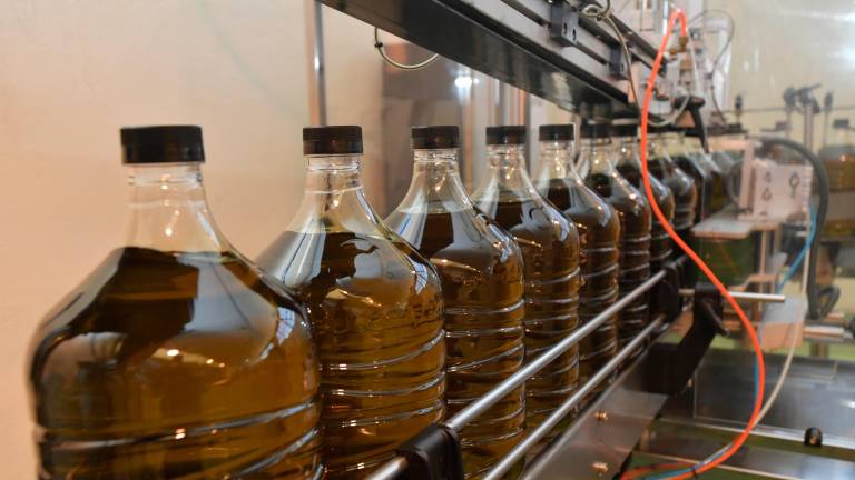Un escenario inédito: el enlace entre campañas de aceite de oliva será el “más bajo del siglo XXI”
