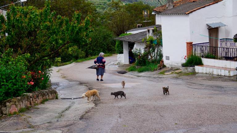 La calma que solo altera el extraño