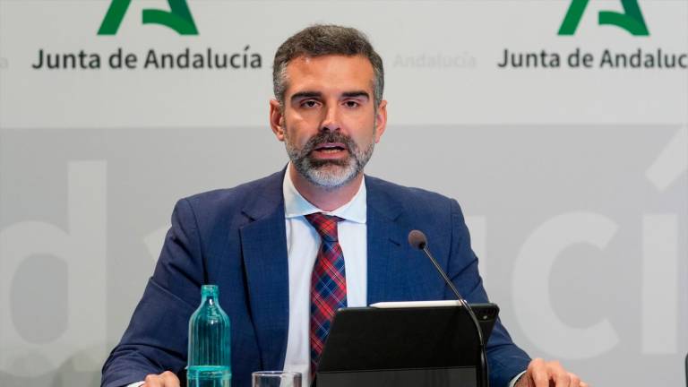Aprobada la primera Estrategia del Olivar con casi 1.000 millones
