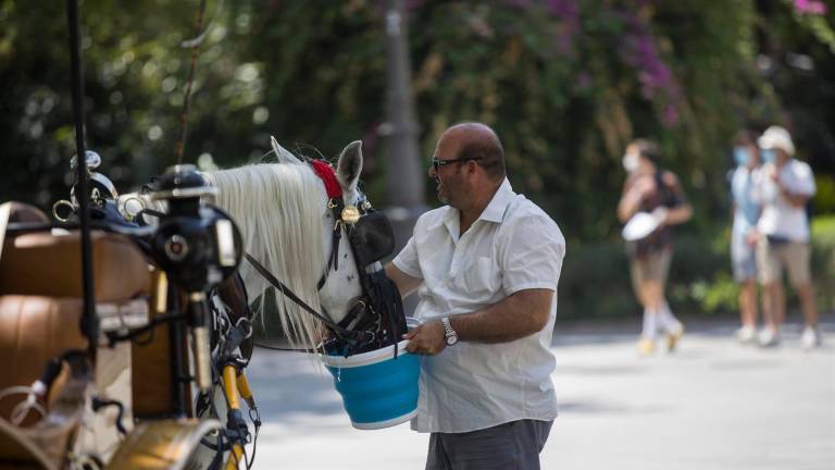 Casi toda España con riesgo o riesgo importante por calor