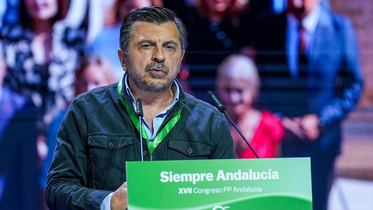 El PP andaluz tacha a Vox y al PSOE de formar “una oposición sincronizada”
