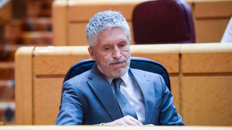 Marlaska y el exCEO de Globalia, citados en la comisión del Senado del ‘caso Koldo’