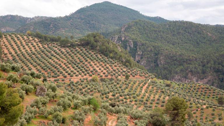 El campo se moviliza ante los recortes de la PAC en Europa