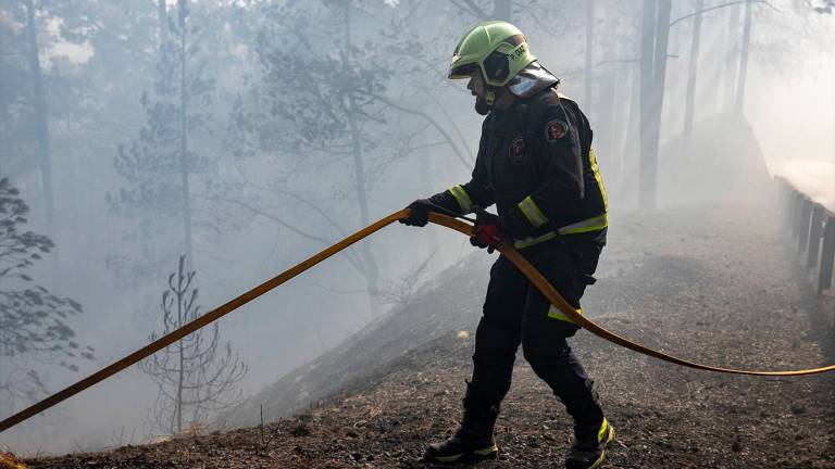 El Gobierno canario prevé dar por estabilizado el incendio de Tenerife a lo largo del día