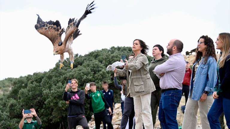 La consejera de Sostenibilidad y Medio Ambiente, Catalina García, en la suelta de un ejemplar de águila imperial en el paraje del Pinar de Cánava, en Jimena. / Juan de Dios Ortiz / Europa Press.