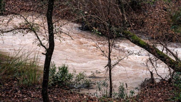 Río Aguasmulas, caudal inmenso y no para de llover en las Sierras de Segura y Cazorla