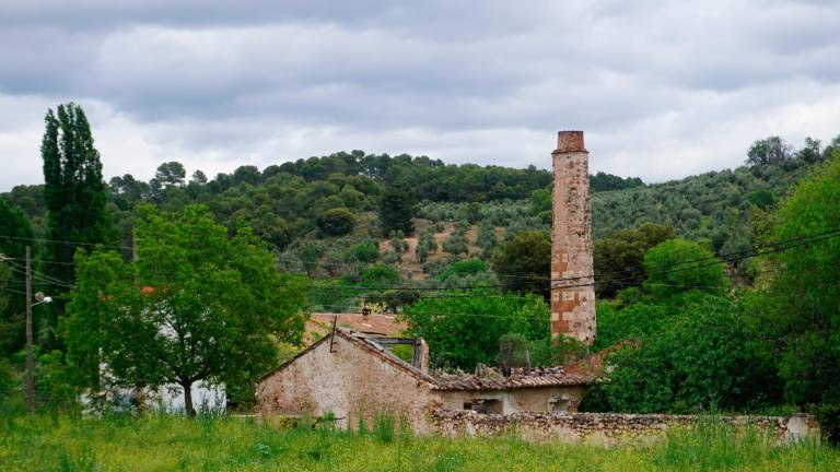 Costumbres que ampara la sierra