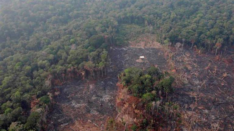 Brasil empieza a luchar contra los incendios del Amazonas con aviones militares
