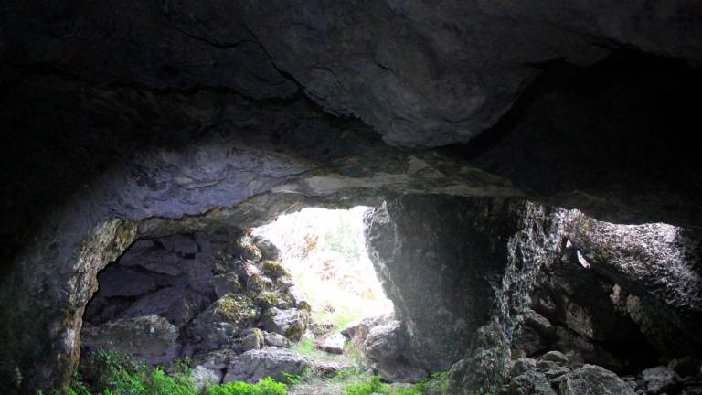 En la cueva del jabalí
