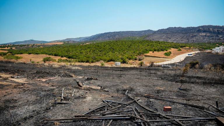 Moreno pide endurecer las penas a pirómanos tras los incendios en Tarifa