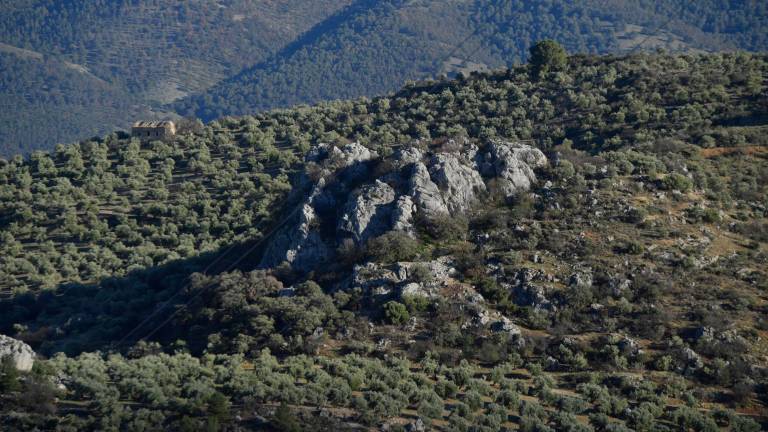 UPA pide un reparto milimétrico de agua en la campaña “con mayores restricciones del siglo”