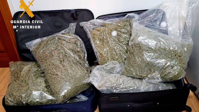 Arrestado tras arrojar a la cuneta dos maletas con casi once kilos de marihuana