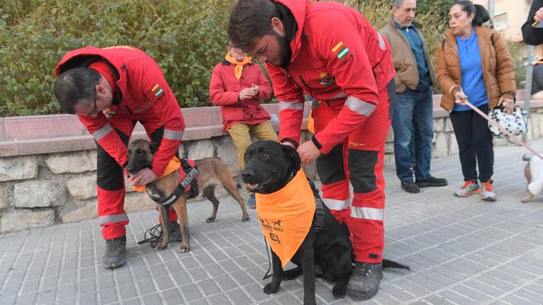 “Bendiciones” con cuatro patas