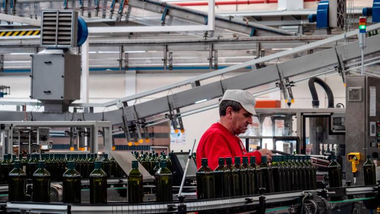 Jaén se abre al mundo