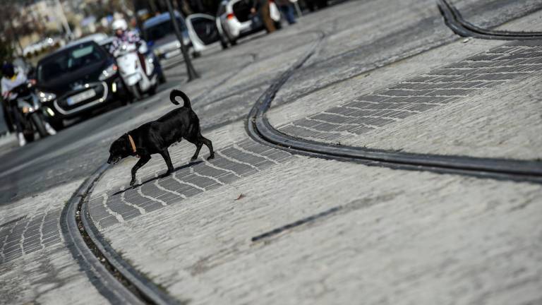 El tranvía vuelve a las mesas de la Junta y el Ayuntamiento