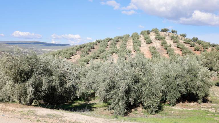 Preocupación por la orden agraria de módulos