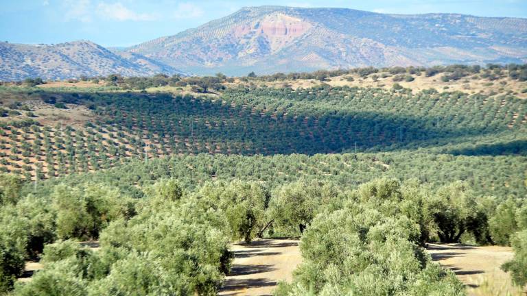 Jaén deja de emitir casi 10.000 toneladas de CO2 al año