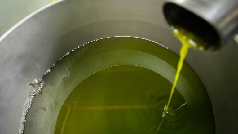 El ritmo de comercialización de aceite es superior ya al del 2024
