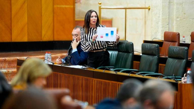 La consejera de Fomento, Articulación del Territorio y Vivienda de la Junta de Andalucía, Rocío Díaz, en sesión parlamentaria. / Parlamento de Andalucía.