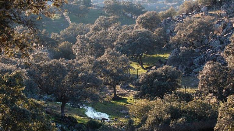 Fondos de Europa para restaurar una joya natural en la Sierra de Andújar