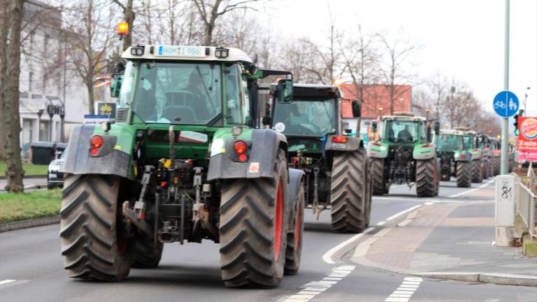 Agricultores alemanes, polacos y checos se levantan contra la política agrícola de la Unión