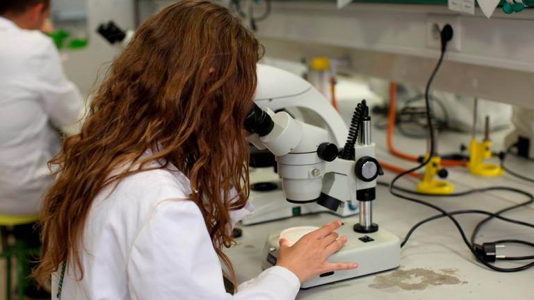 Todos los nombres de las 43 investigadoras de la UJA que están entre las más productivas y citadas del mundo