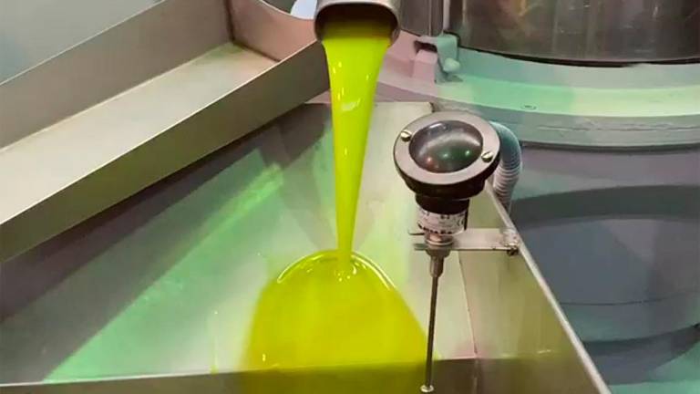 El aceite de oliva virgen extra ya está “a punto”