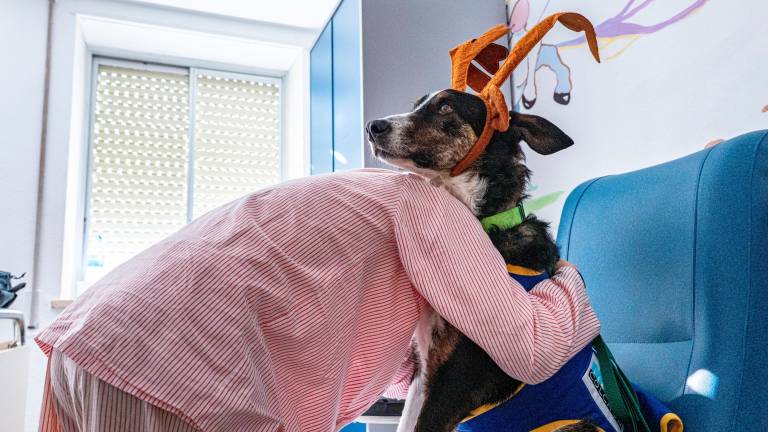 Pacientes pediátricos de Jaén reciben a Rufino y Garbanzo, dos perros terapeutas