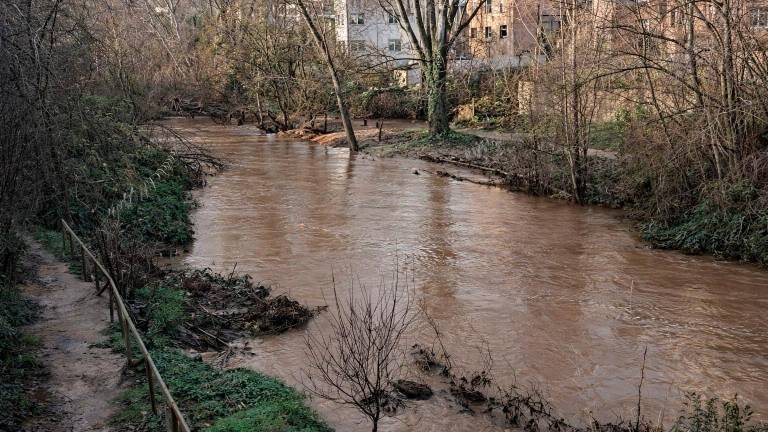 Así está el caudal del Guadalquivir en Mogón