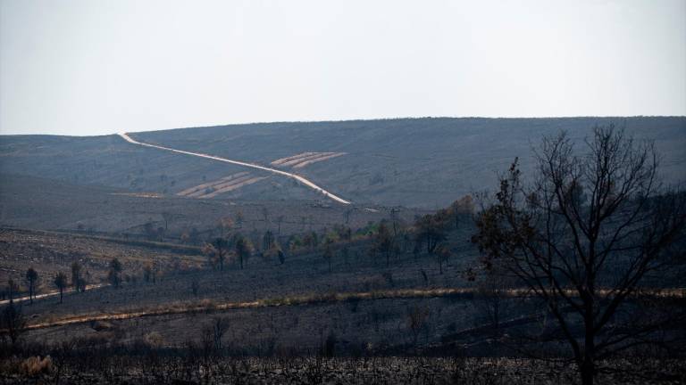 El fuego mantiene activos 40 focos en España, mientras se intensifica la ayuda internacional