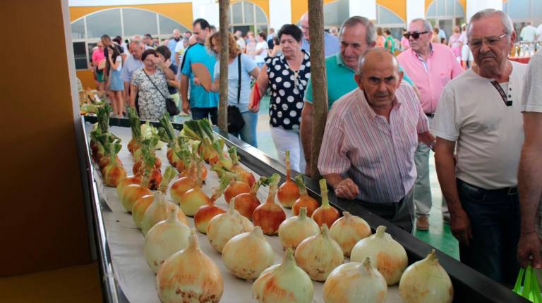 EXPOSICIÓN. <i>El público contempla productos exhibidos dentro de las instalaciones del mercado de abastos.</i>