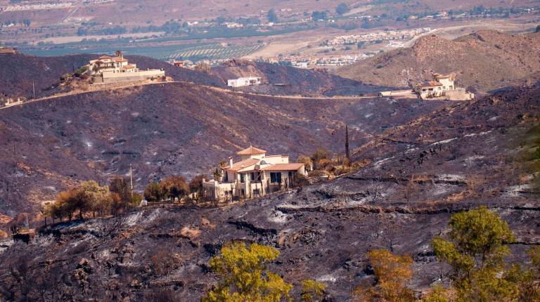 <i>La zona afectada por el incendio de Los Gallardos. / Francisco J. Olmo / Europa Press.</i>