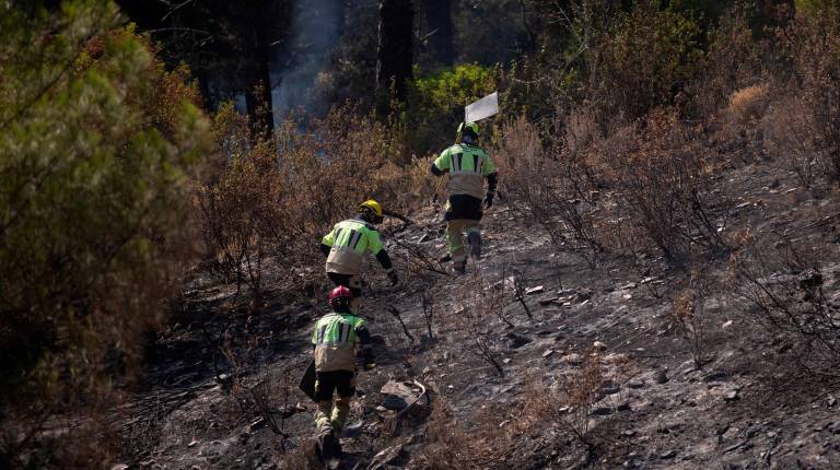 <i>Bomberos trabajan en el incendio de Niebla en el término municipal de Berrocal (Huelva). / Europa Press. </i>