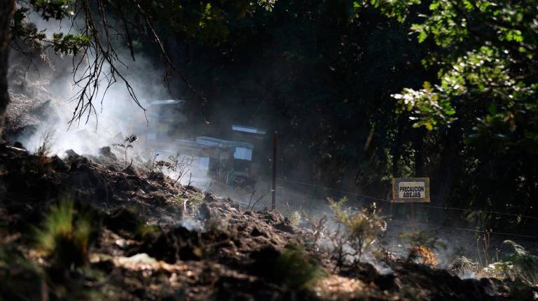 <i>Zona quemada por el incendio forestal, a 24 de julio de 2026, en Murias de Ponjos (León). / Fernando Otero / Europa Press.</i>