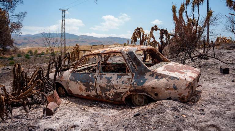 <i>Imágenes de la zona afectada por el incendio de Los Gallardos, a 12 de julio de 2026. / Francisco J. Olmo / Europa Press.</i>