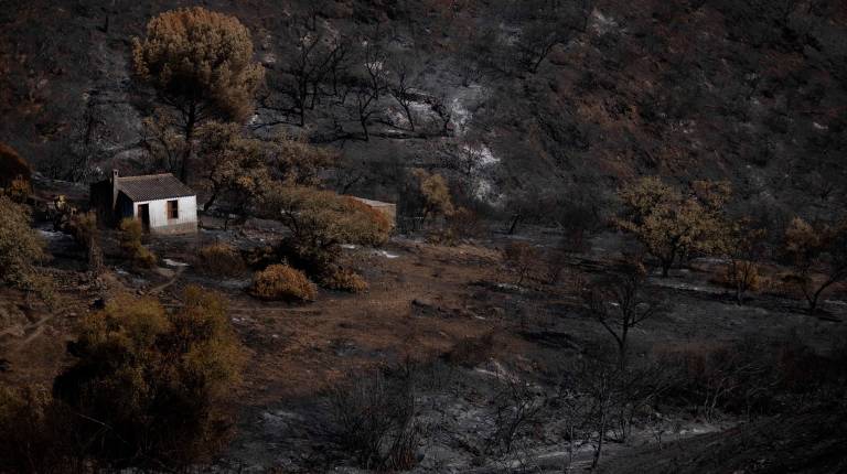 <i>El incendio de Niebla deja un paisaje desolador en Berrocal (Huelva). / Europa Press. </i>