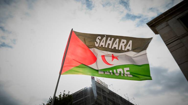 <i>Bandera Sahara Occidental. / Europa Press. </i>
