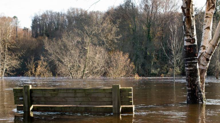 INUNDACIONES. <i>Las provincias de la comunidad autónoma que más incidencias registraron durante la jornada de ayer fueron Huelva y Sevilla.</i>