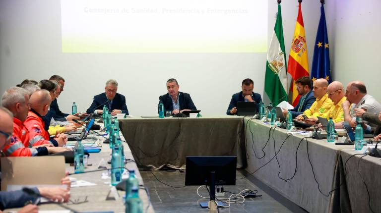 <i>Comité Asesor Regional del Plan Infoca. / Junta de Andalucía.</i>