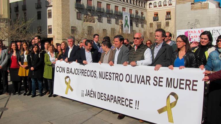 Jaén se suma a las concentraciones por el olivar con un seguimiento masivo en toda la provincia