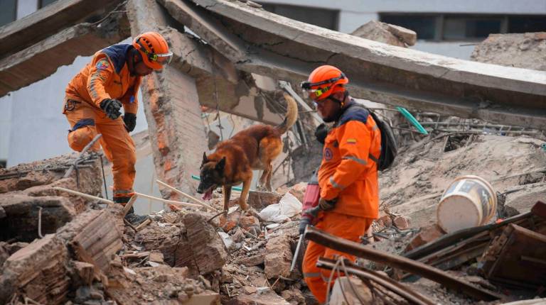 <i>Agentes de rescate tras el terremoto en Colombia. / Europa Press.</i>