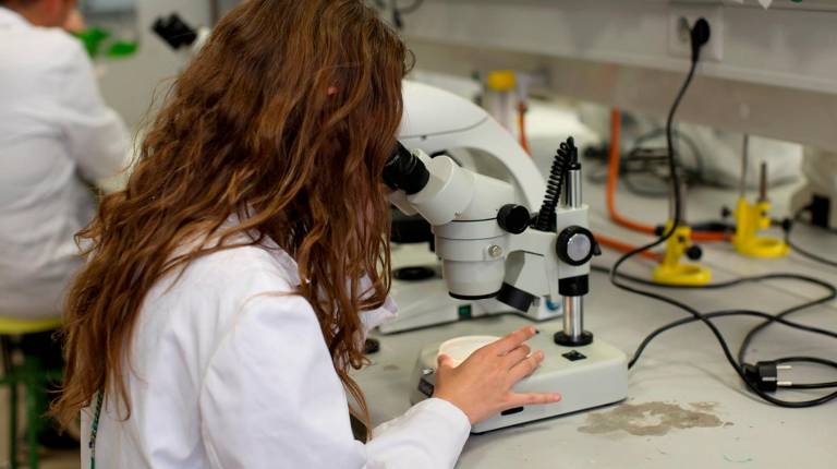 <i>Una investigadora de la Universidad de Jaén. / Universidad de Jaén. </i>
